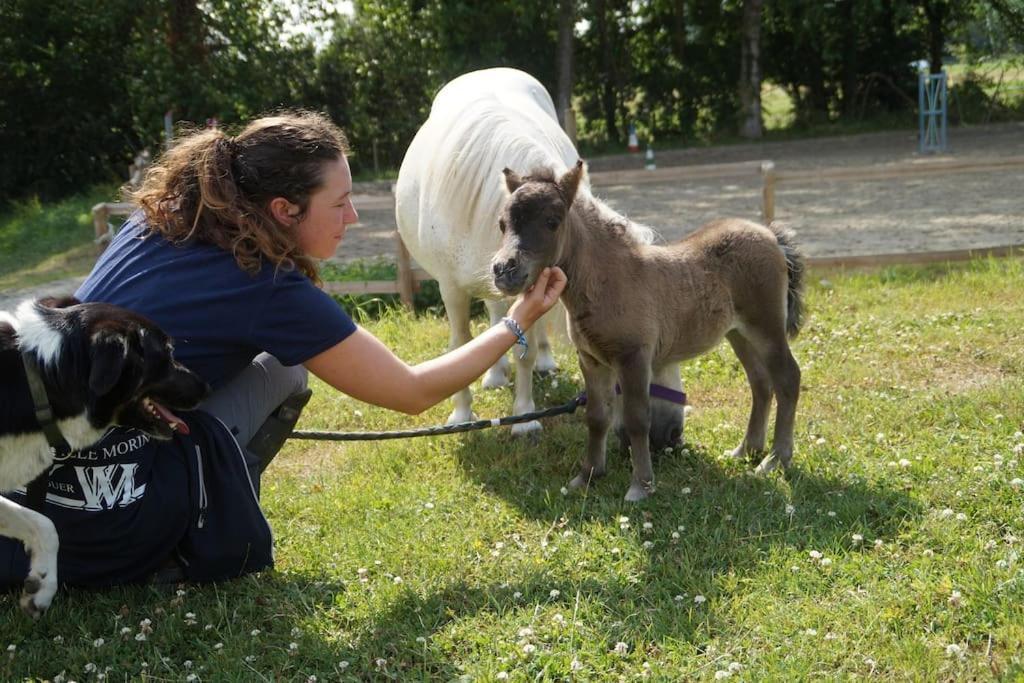 Gite Equestre Dans Centre Equestre Vers Saint Malo Plerguer Zewnętrze zdjęcie